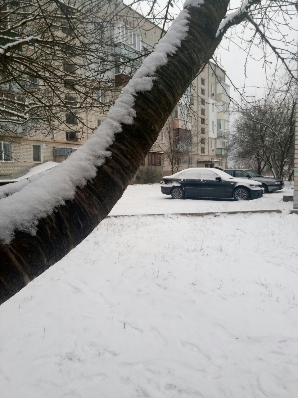 снег под Киевом